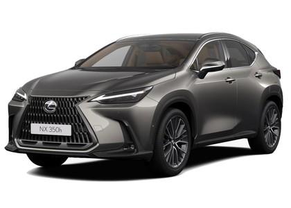 Ворсовые коврики на Lexus NX II 2021 - 2025 в Якутске