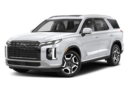 EVA коврики на Hyundai Palisade 2018 - 2025 в Якутске