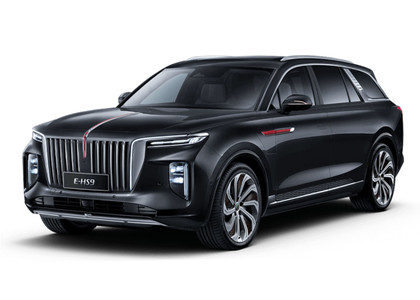 Коврики на Hongqi E-HS9 2022 - 2025 в Якутске