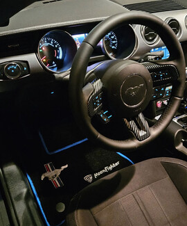 Коврики на Ford Mustang VI 2013 - 2023 в Якутске Коврики на Ford Mustang VI 2013 - 2023 в Якутске
