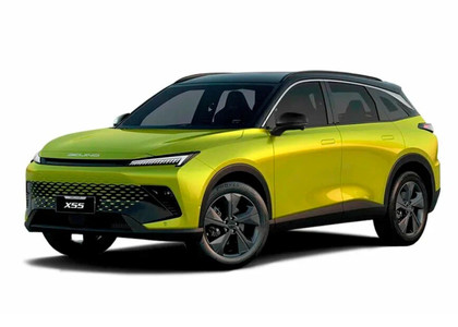 Ворсовые коврики на Baic X55 2022 - 2025 в Якутске
