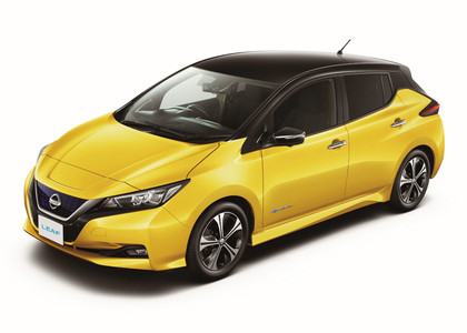 EVA коврики на Nissan Leaf (ZE1) 2017 - 2025 в Якутске