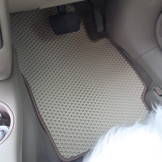 Коврики на Mazda Demio II (DY) 2002 - 2007 в Якутске